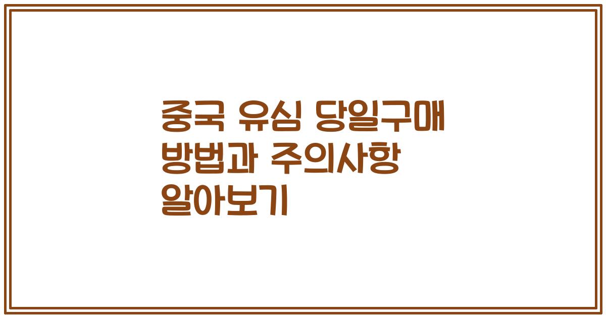 중국 유심 당일구매 방법과 주의사항 알아보기